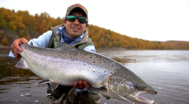 VIDEO: The Incomparable Ponoi